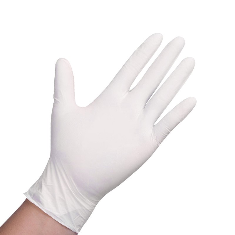 Latex Disposable Gloves Large