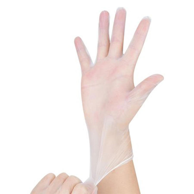 Disposable Vinyl Gloves Tesco